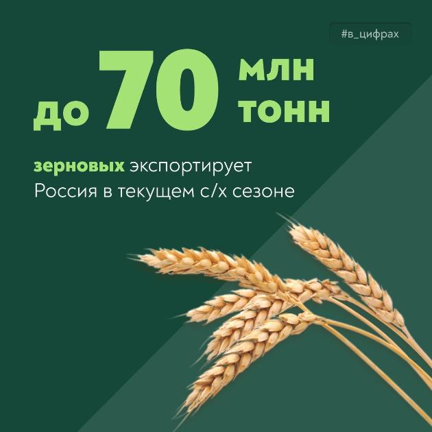 Российские экспортеры зерна сосредоточатся на рынках Ближнего Востока, Северной Африки, Индии и Китая